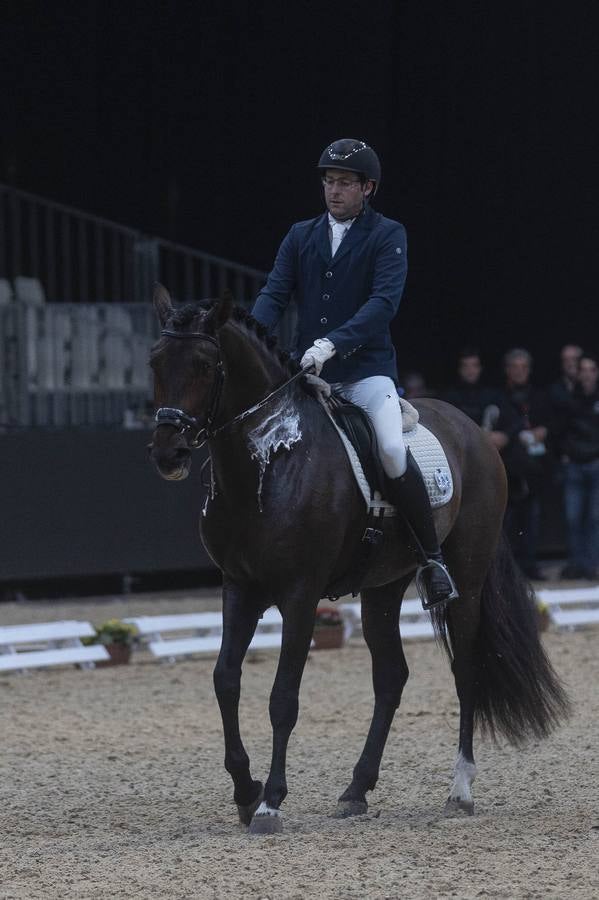 Multitud de actividades atraen cada día a los aficionados al mundo del caballo 