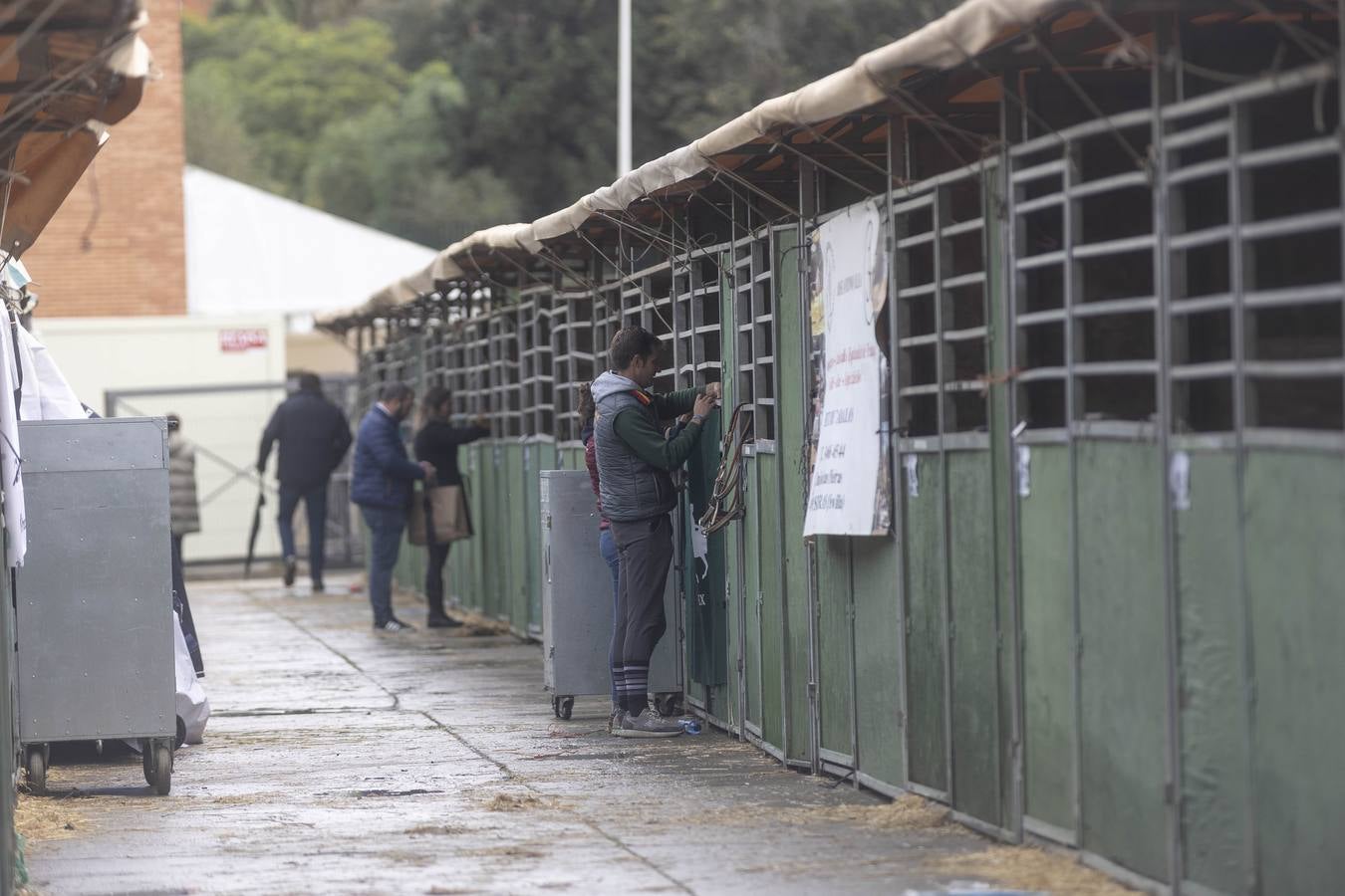 Multitud de actividades atraen cada día a los aficionados al mundo del caballo 