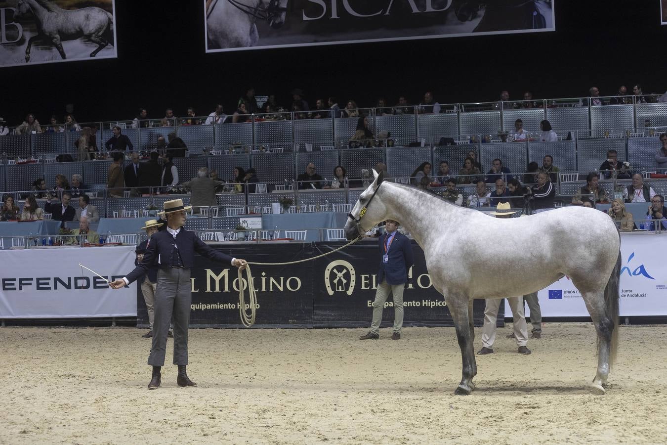 Multitud de actividades atraen cada día a los aficionados al mundo del caballo 