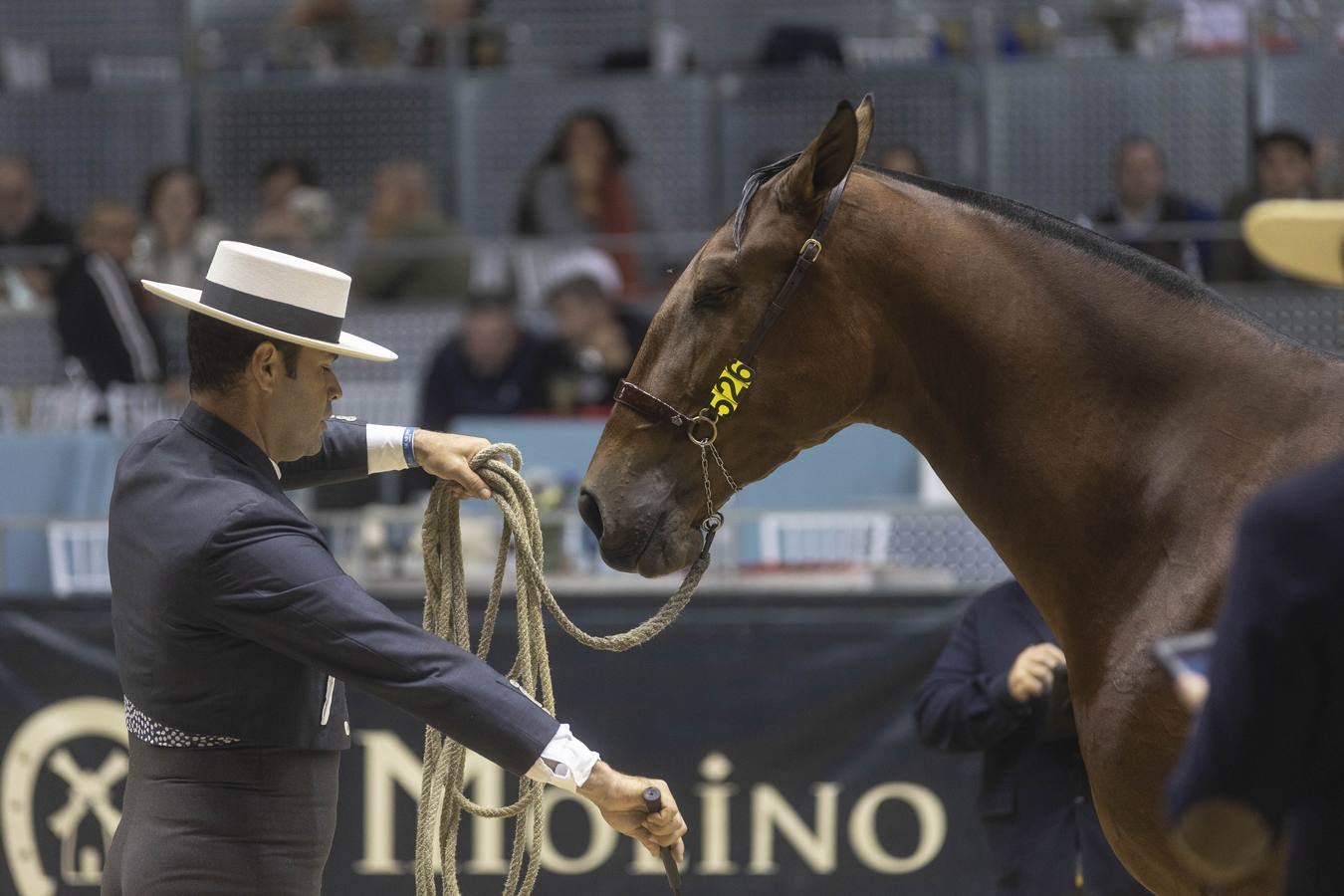Multitud de actividades atraen cada día a los aficionados al mundo del caballo 