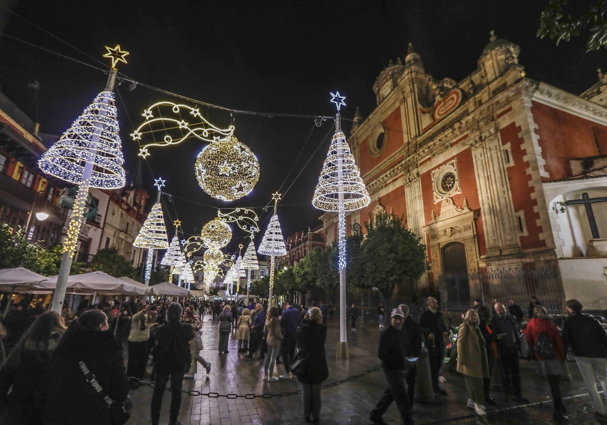 El Ayuntamiento de Sevilla licitó este martes la contratación de dos camellos