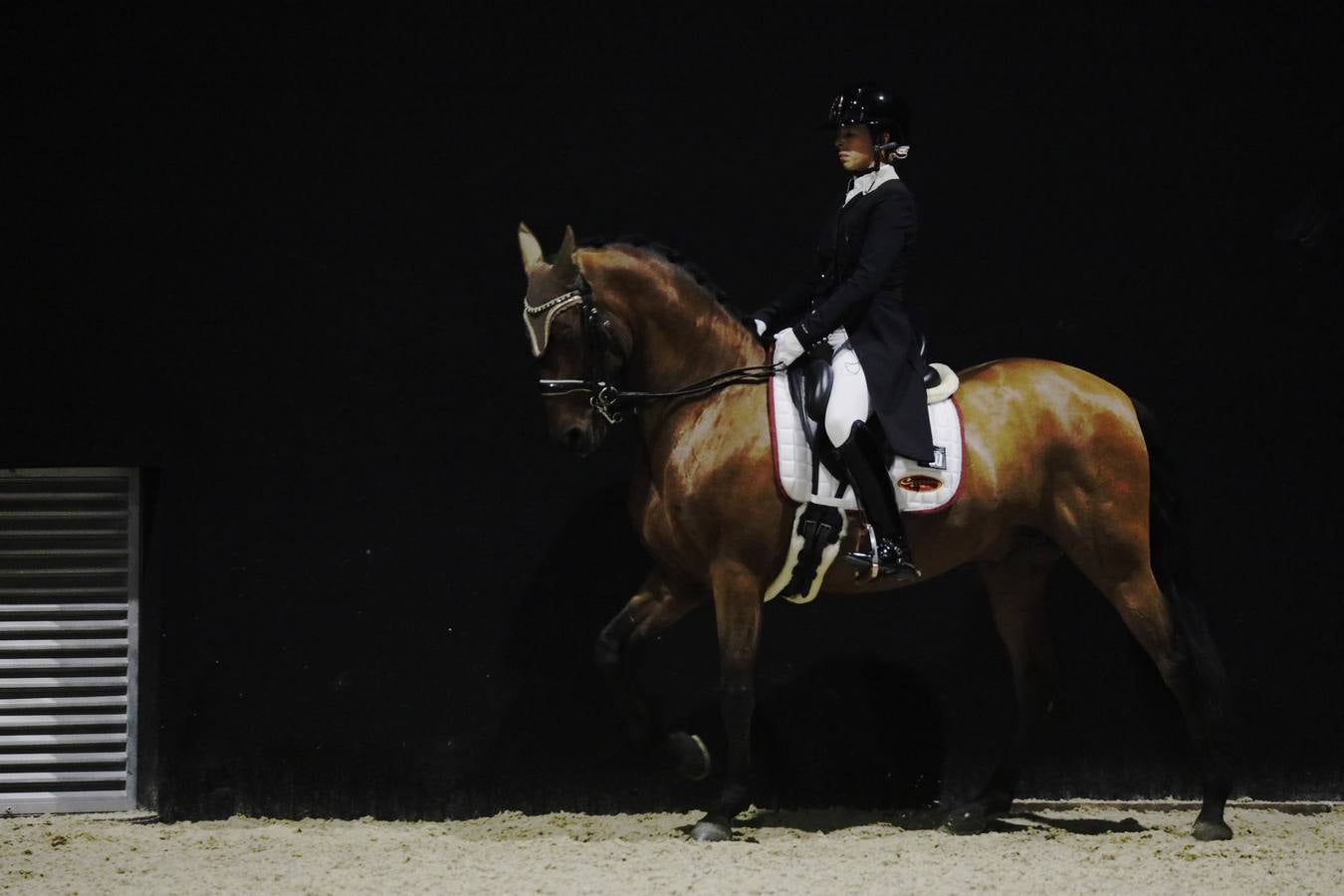 Estos días se dan cita en Fibes los mejores caballos de pura raza española