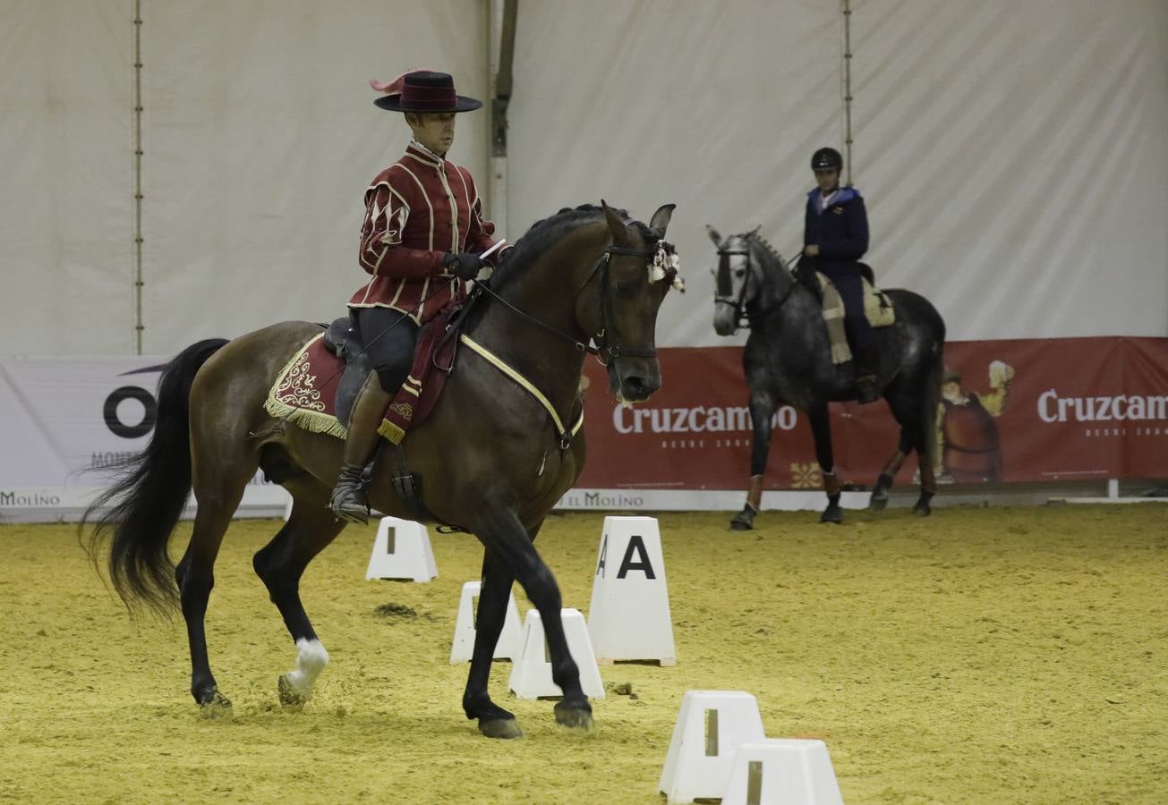 Estos días se dan cita en Fibes los mejores caballos de pura raza española