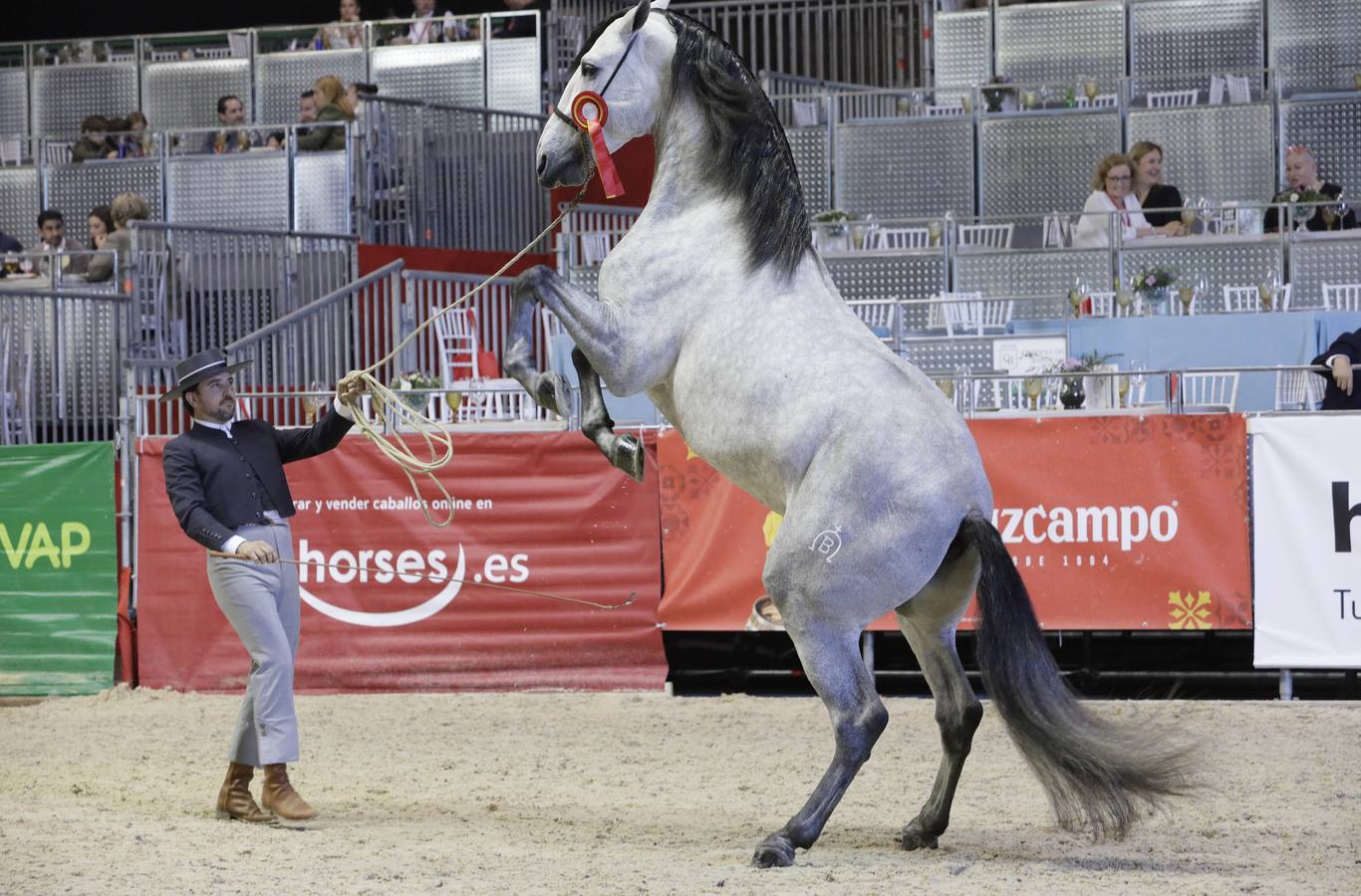 Los expositores y espectáculos de caballos contaron con numerosos asistentes