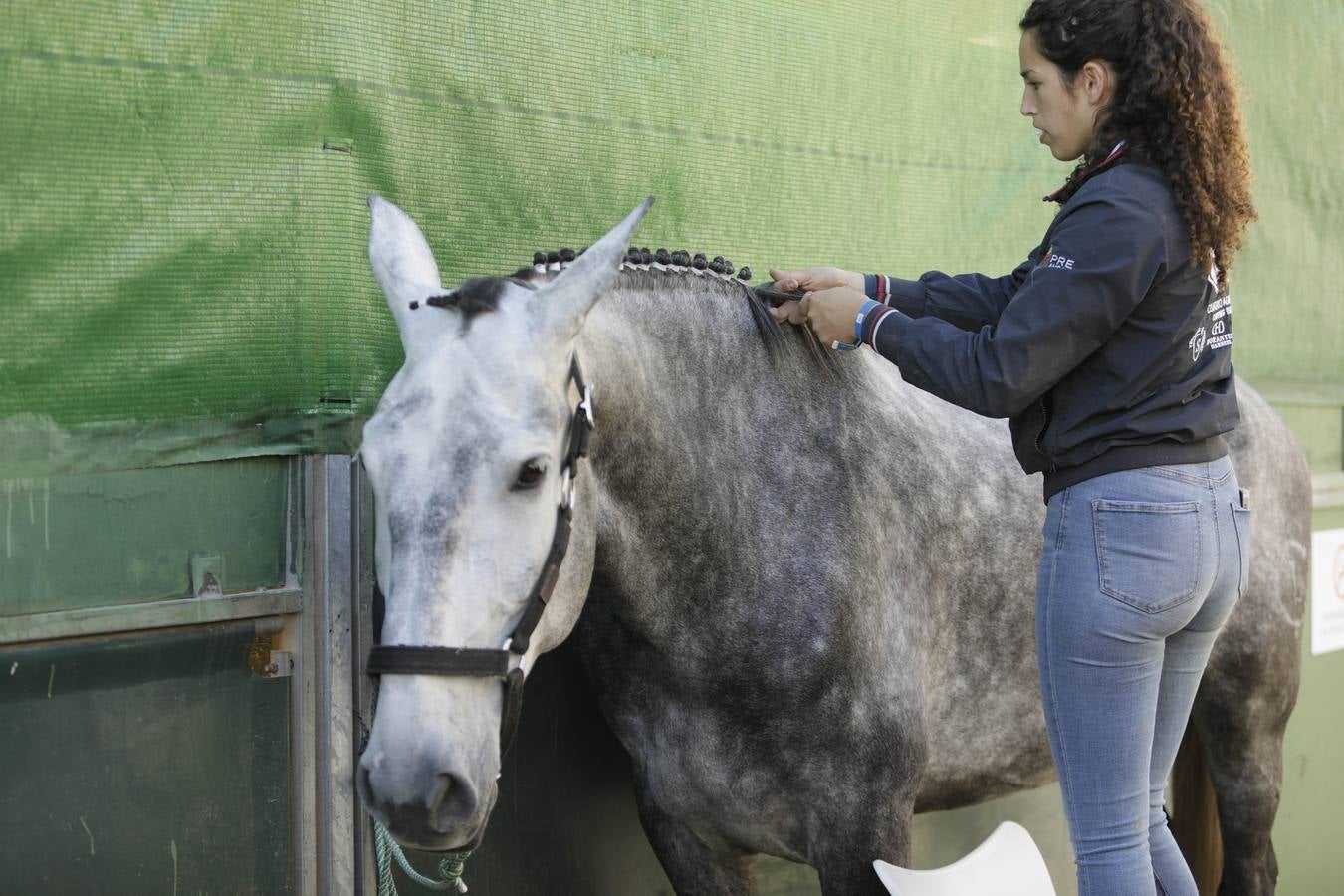 Los expositores y espectáculos de caballos contaron con numerosos asistentes