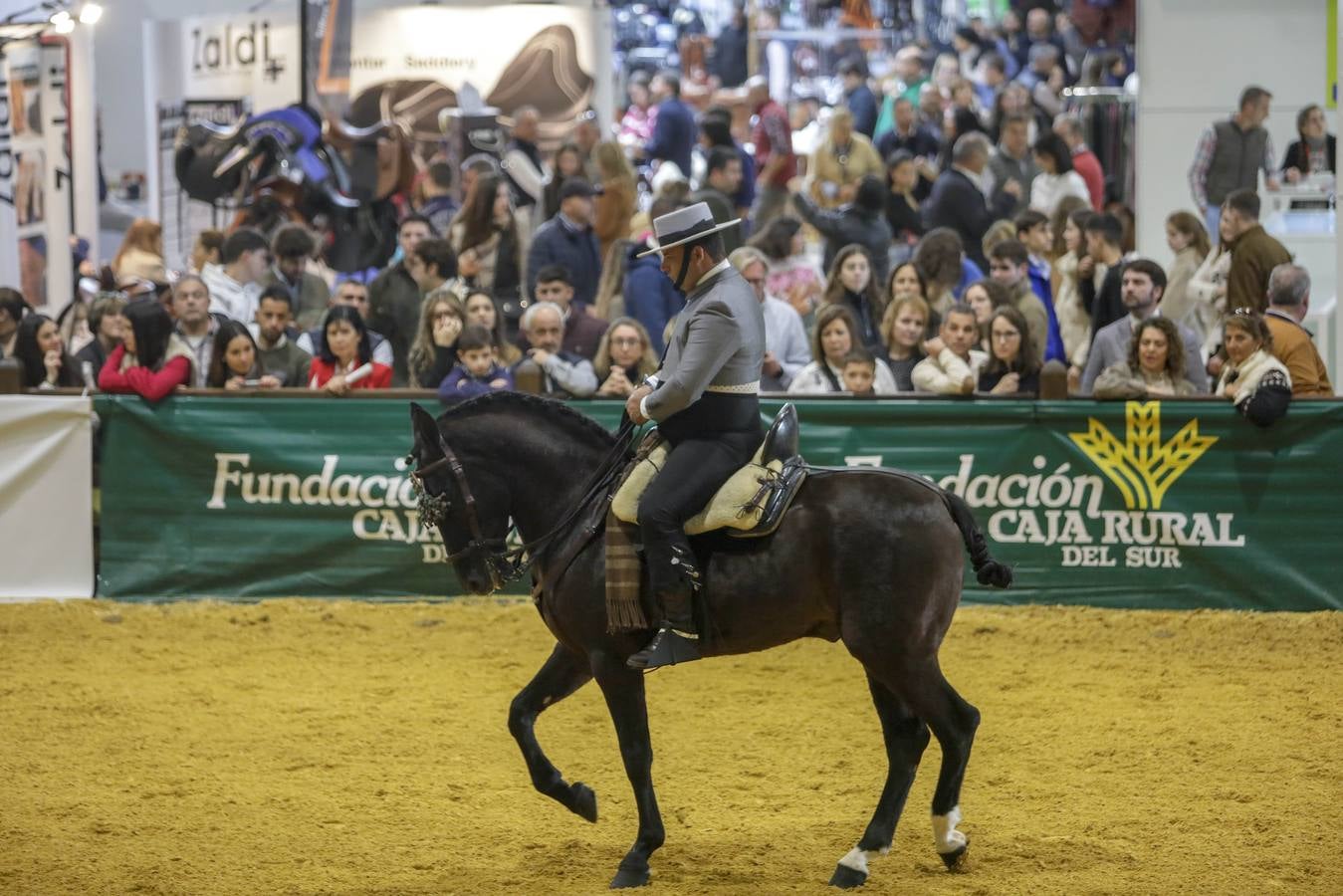 Los expositores y espectáculos de caballos contaron con numerosos asistentes