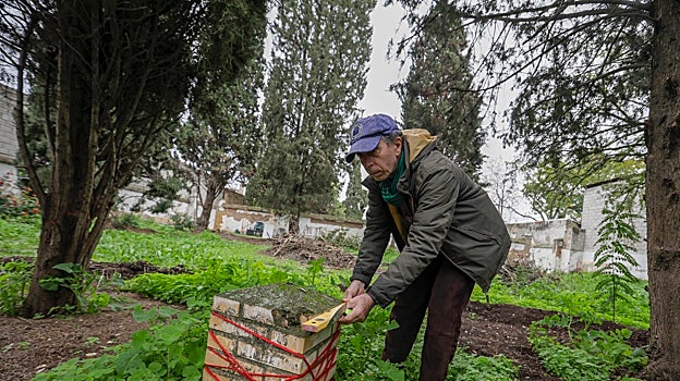 Francisco Ortiz, presidente de la Asociación Ángeles de la Ciudad y guardián del cementerio de San Jorge,