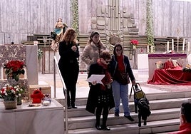 Remedios contra la discapacidad