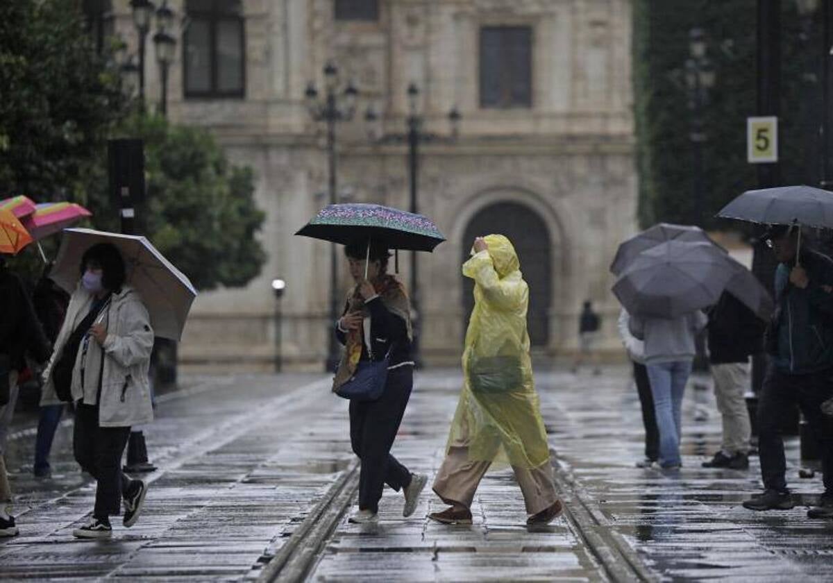 Varias personas pasean, con paraguas y chubasqueros, por el Centro de Sevilla