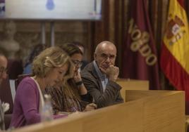 Antonio Muñoz: «El modelo de José Luis Sanz es destruir y paralizar Sevilla»
