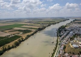 El silencio ecologista ante el primer puente que cruza Doñana