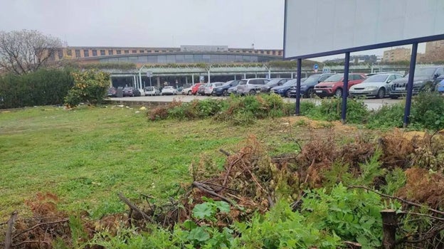 El estado de abandono que presentan los alrededores de la estación de Santa Justa