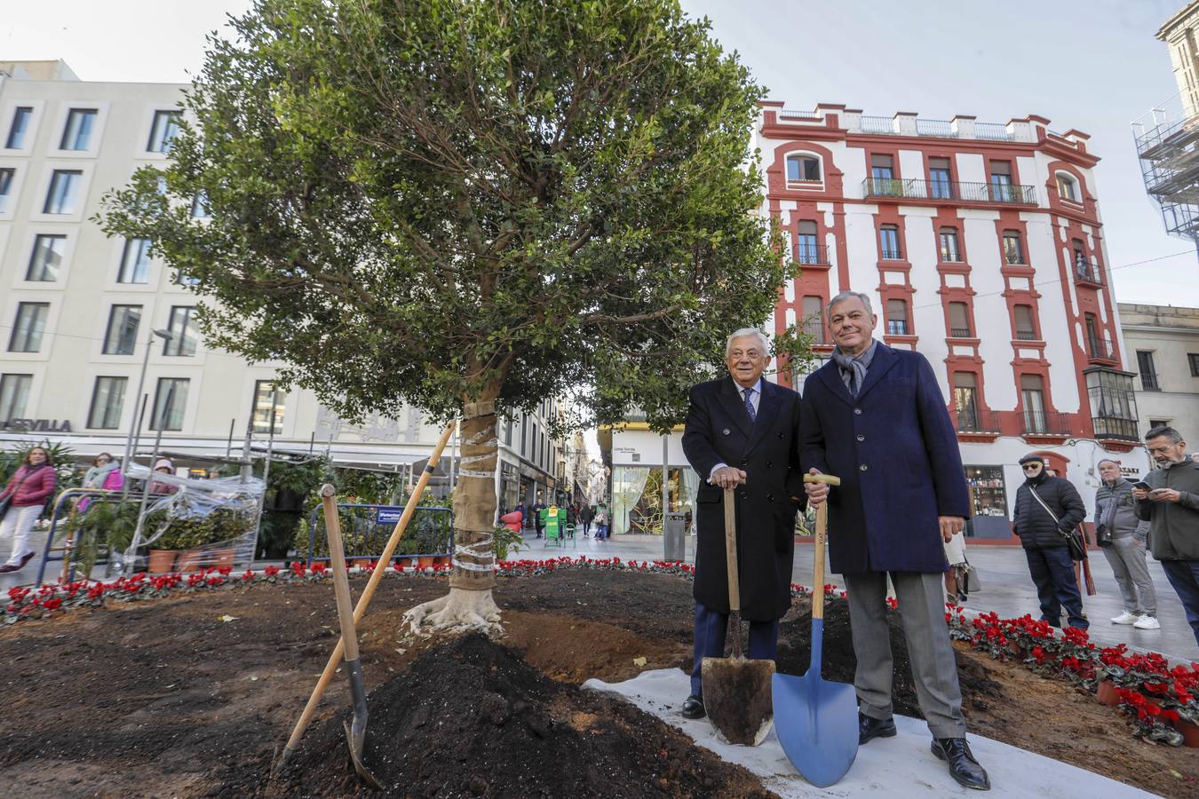 José Luis Sanz y el presidente de la Cámara de Comercio de Sevilla, Francisco Herrero, siembran el ficus 