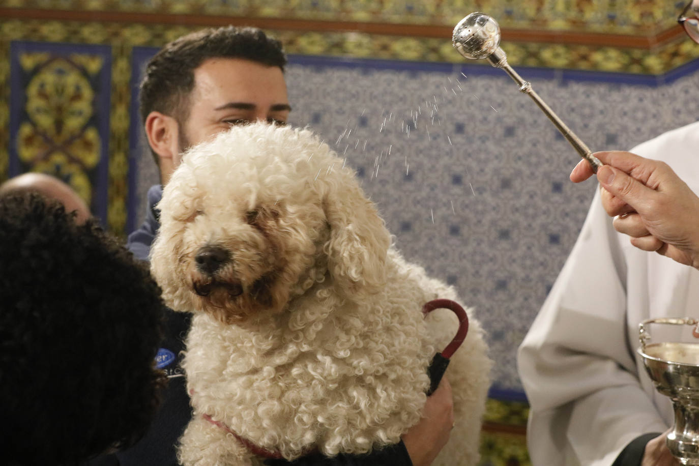 La Pastora de Santa Marina acoge la tradicional bendición de animales por San Antón