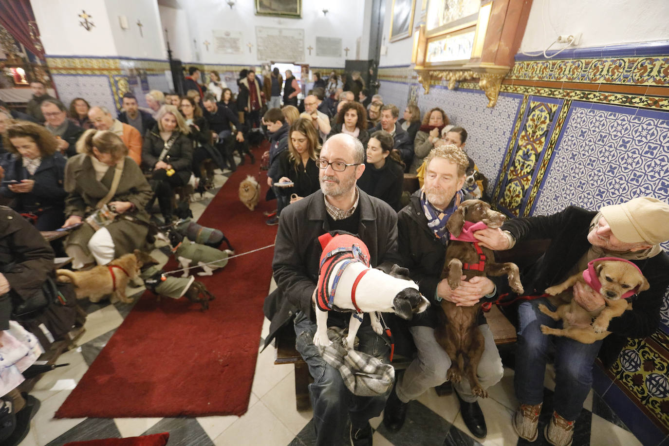 La Pastora de Santa Marina acoge la tradicional bendición de animales por San Antón
