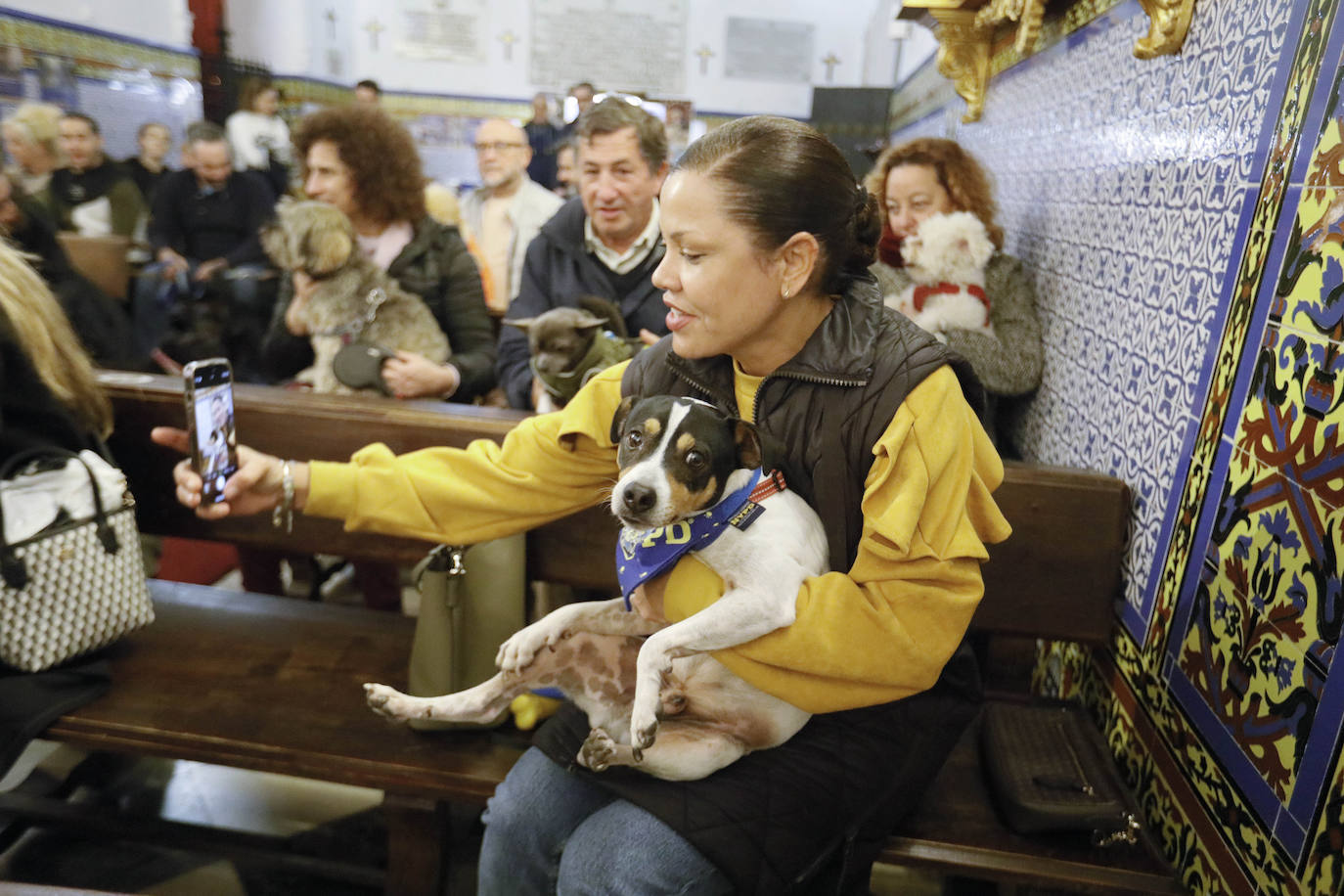 La Pastora de Santa Marina acoge la tradicional bendición de animales por San Antón