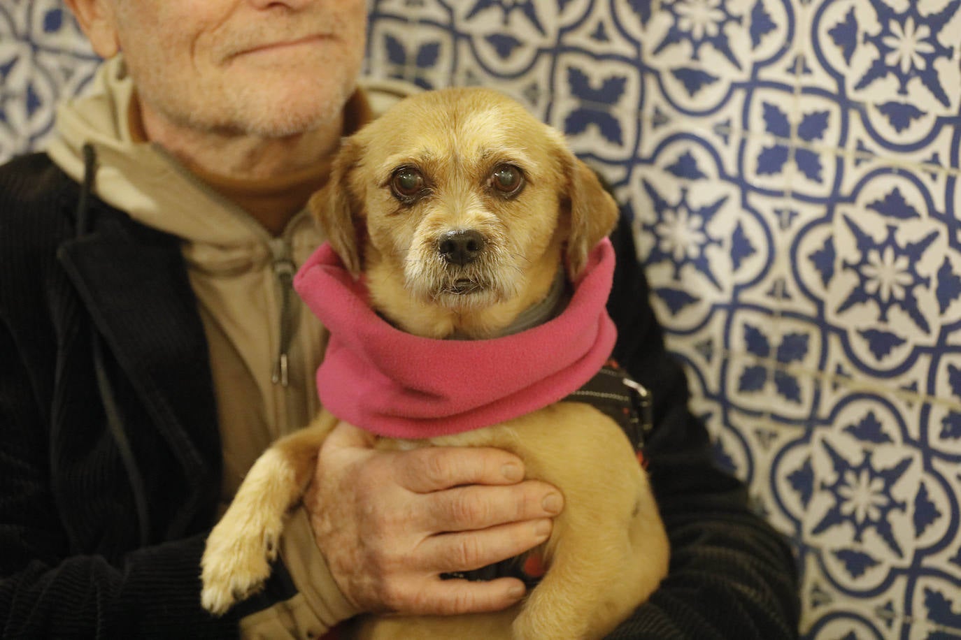 La Pastora de Santa Marina acoge la tradicional bendición de animales por San Antón