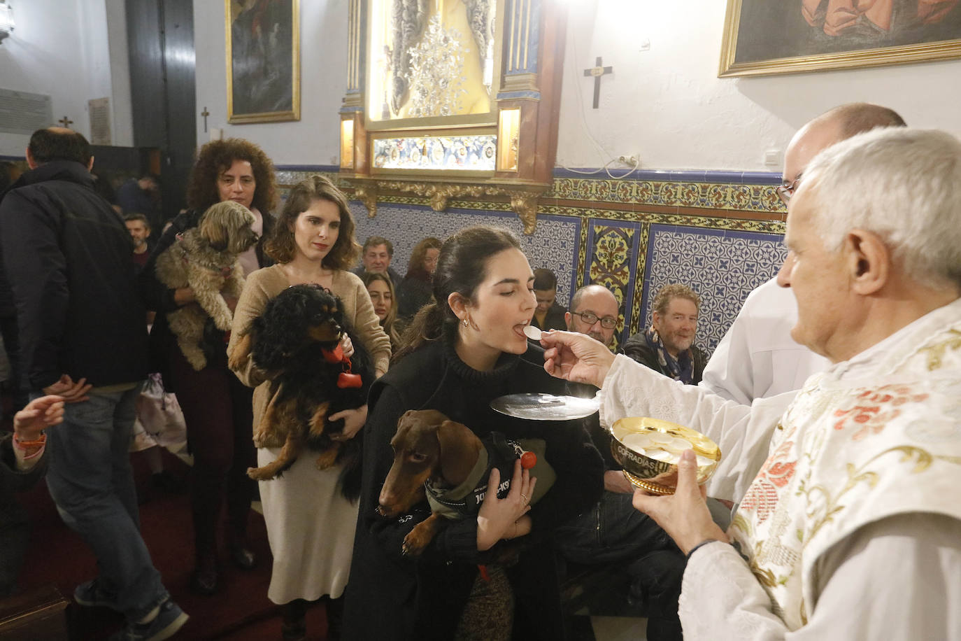 La Pastora de Santa Marina acoge la tradicional bendición de animales por San Antón