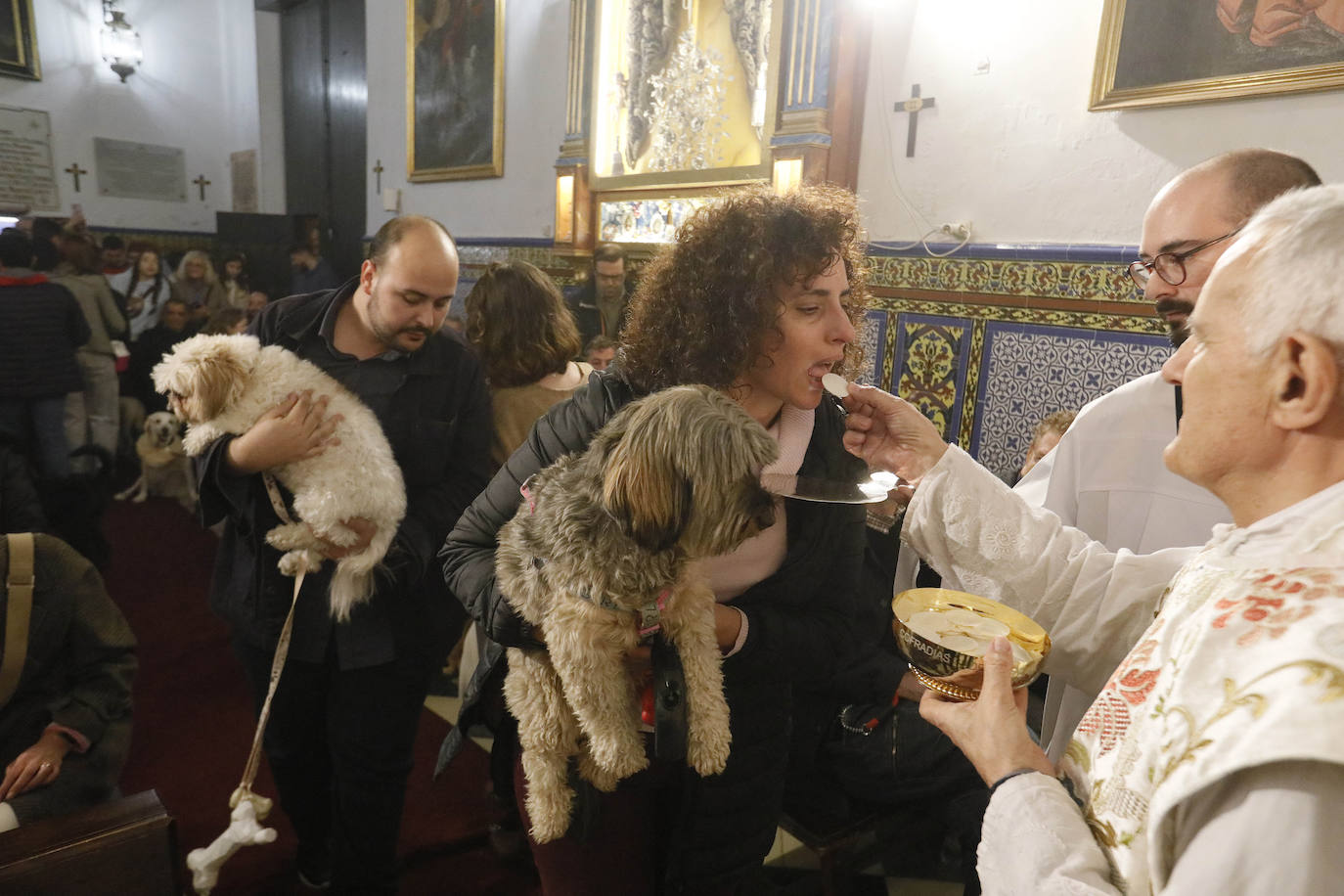 La Pastora de Santa Marina acoge la tradicional bendición de animales por San Antón