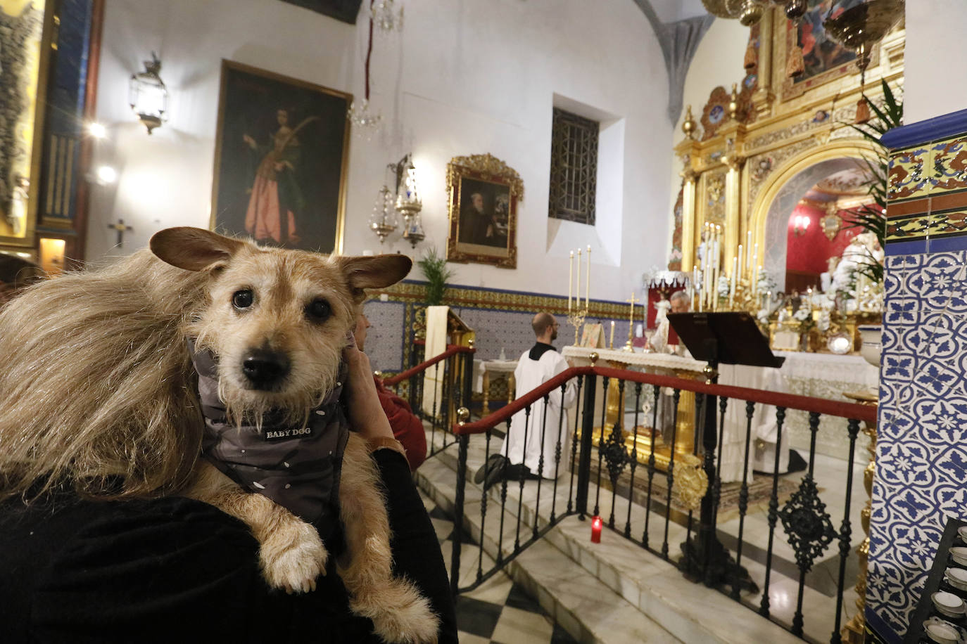 La Pastora de Santa Marina acoge la tradicional bendición de animales por San Antón