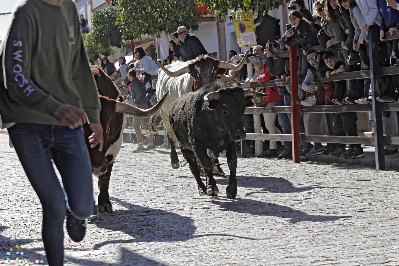 Momentos del encierro celebrado este sábado en La Puebla del Río