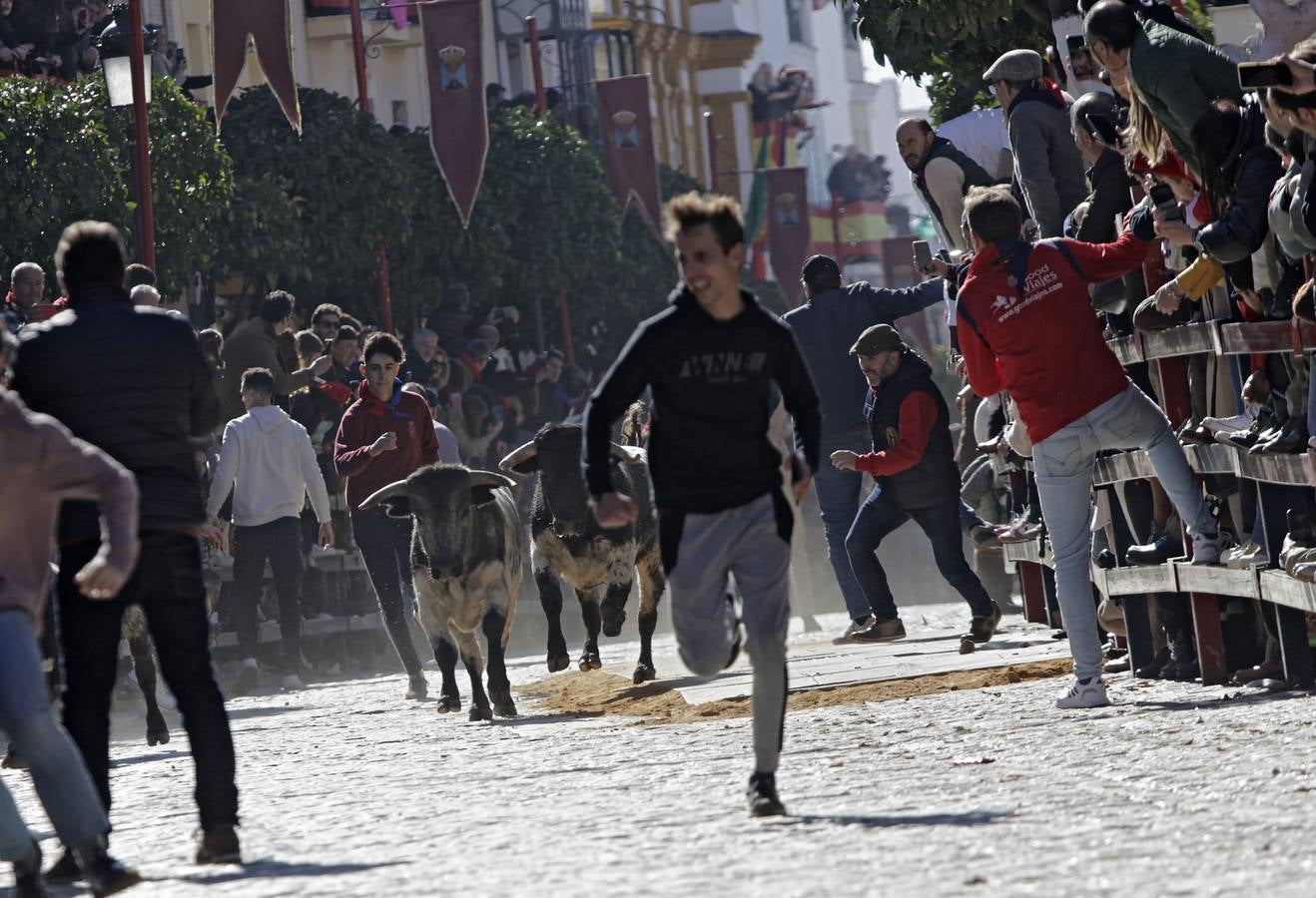 Momentos del encierro celebrado este sábado en La Puebla del Río