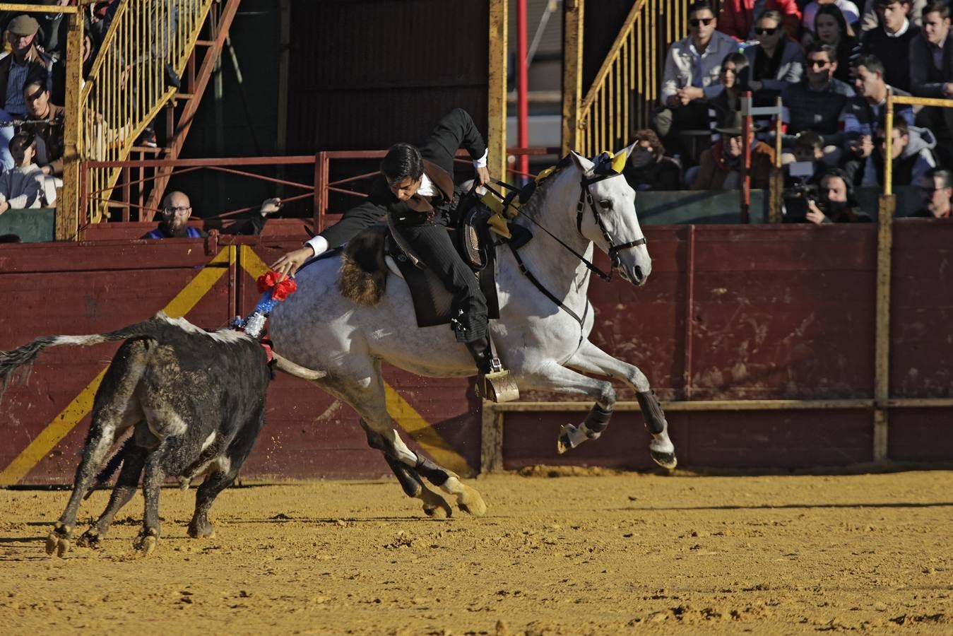 Momentos del encierro celebrado este sábado en La Puebla del Río