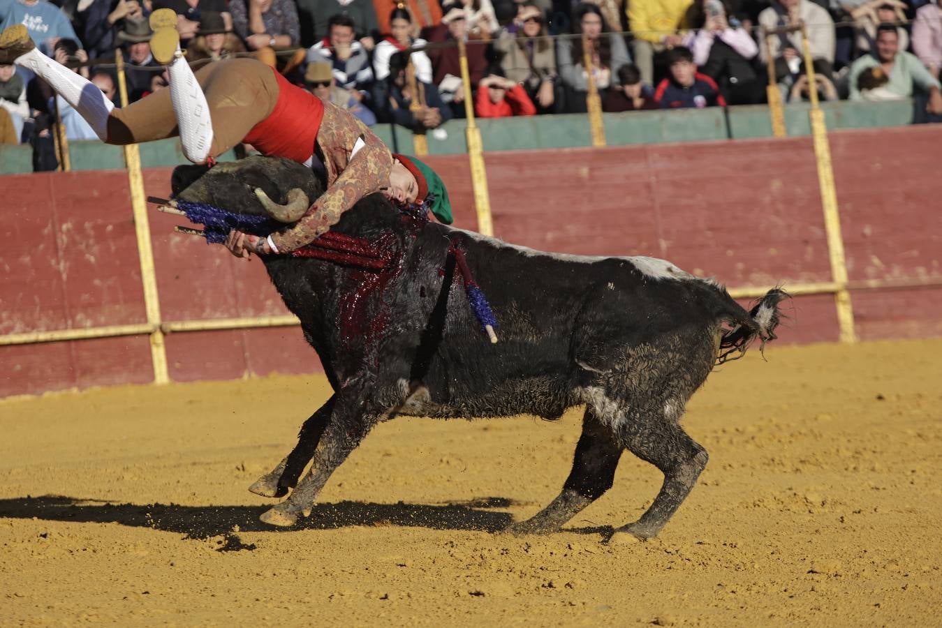 Momentos del encierro celebrado este sábado en La Puebla del Río