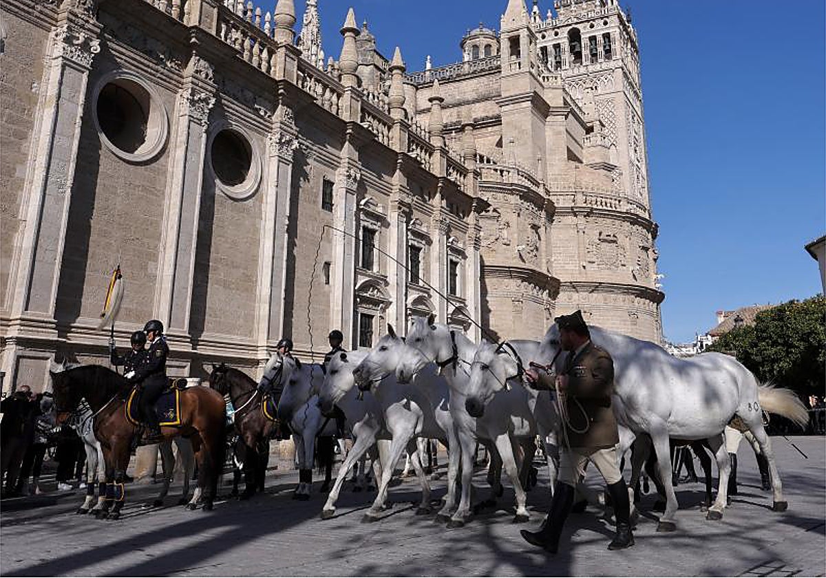 Unidades ecuestres en la plaza del Triunfo