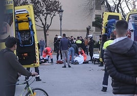 Vuelca un coche de caballos en la plaza de América de Sevilla, en imágenes