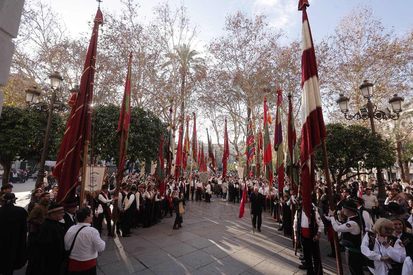Diferentes imágenes del desfile de pendones