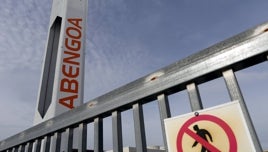 Más de 400 accionistas piden comprar 16 marcas de Abengoa por 10.000 euros