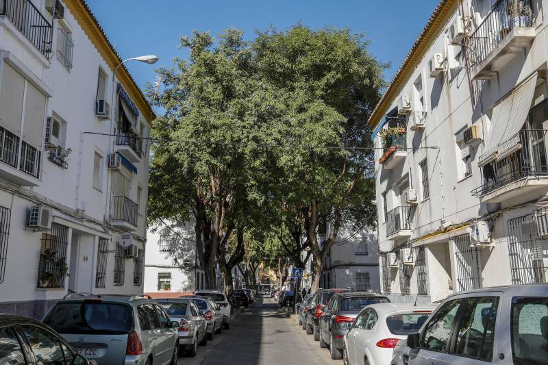Imágenes sobre el barrio sevillano de Los Remedios