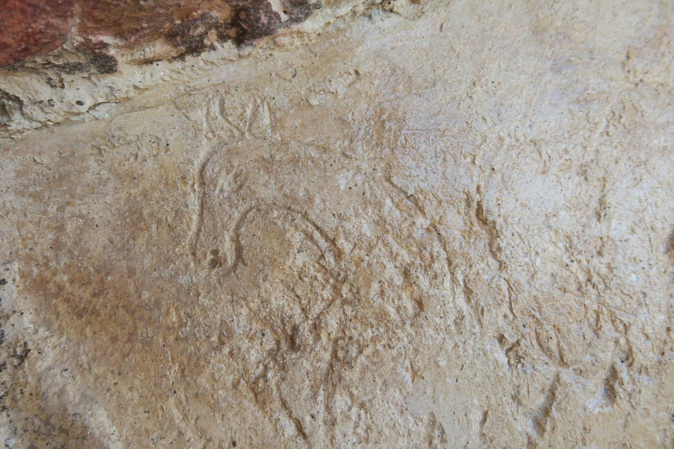 Dibujos hallados en la Giralda