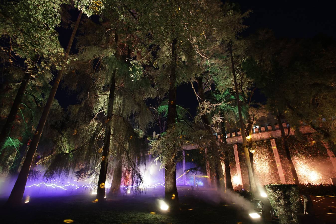 Los jardines del Alcázar durante el espectáculo de luz y color que aumenta aún más si cabe la belleza de este espacio