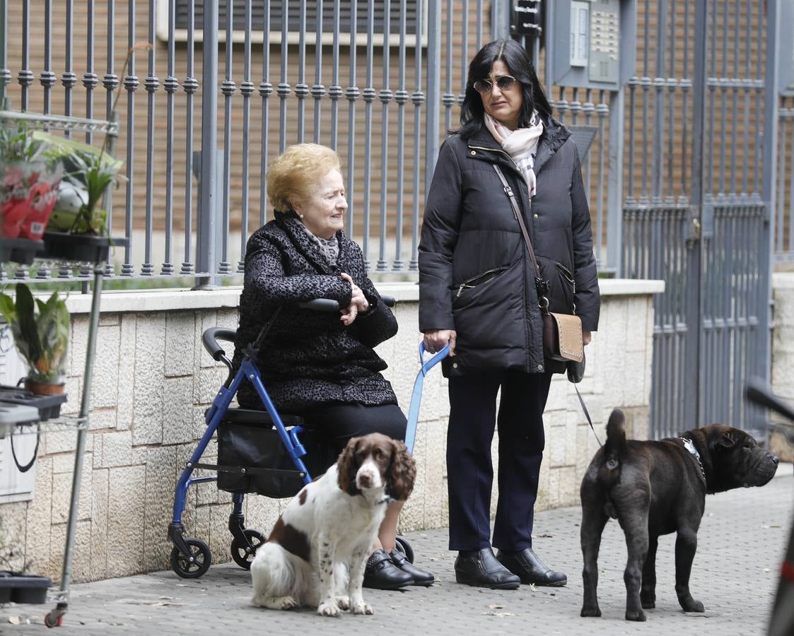 Calles y vecinos de el barrio de El Porvenir
