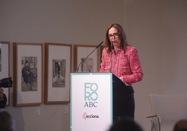 Rocío Díaz: «Nos hemos encontrado un Ministerio de Transporte pasivo y opaco» con las infraestructuras de Sevilla