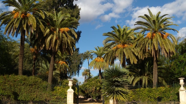 Jardines de Murillo