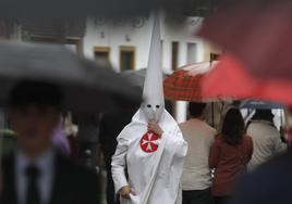Domingo de Ramos de la Semana Santa de Sevilla 2024, en imágenes