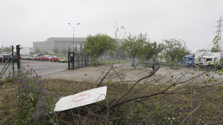 Cinco años perdidos para mejorar el entorno del estadio de la Cartuja de Sevilla