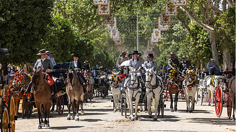 Horses in Real de La Feria Seville