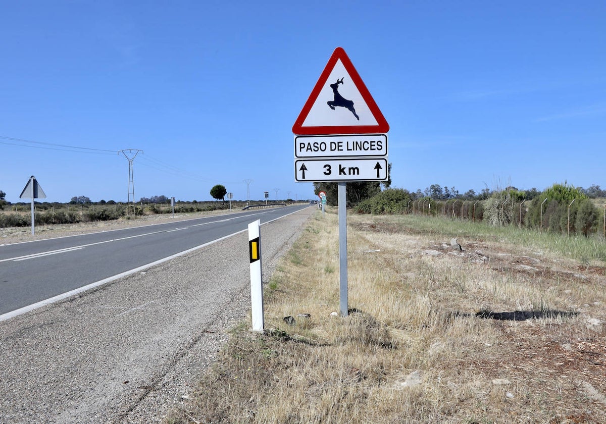 Señal de tráfico para alertar del paso de linces