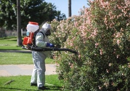 Lebrija refuerza los tratamientos preventivos de los mosquitos ante el caso de infección de virus del Nilo