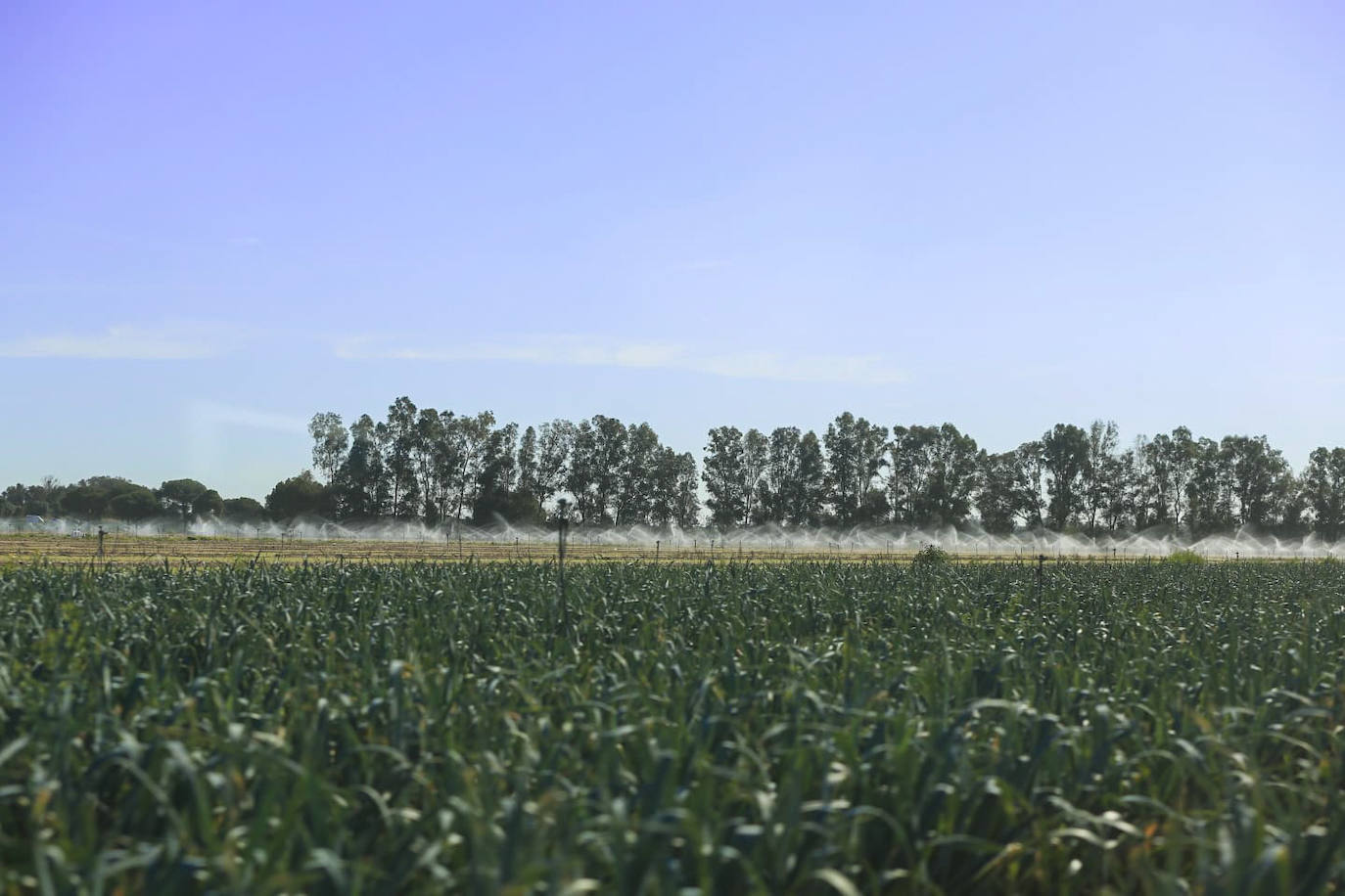 Los agentes inspeccionan una explotación agrícola en Villamanrique de la Condesa