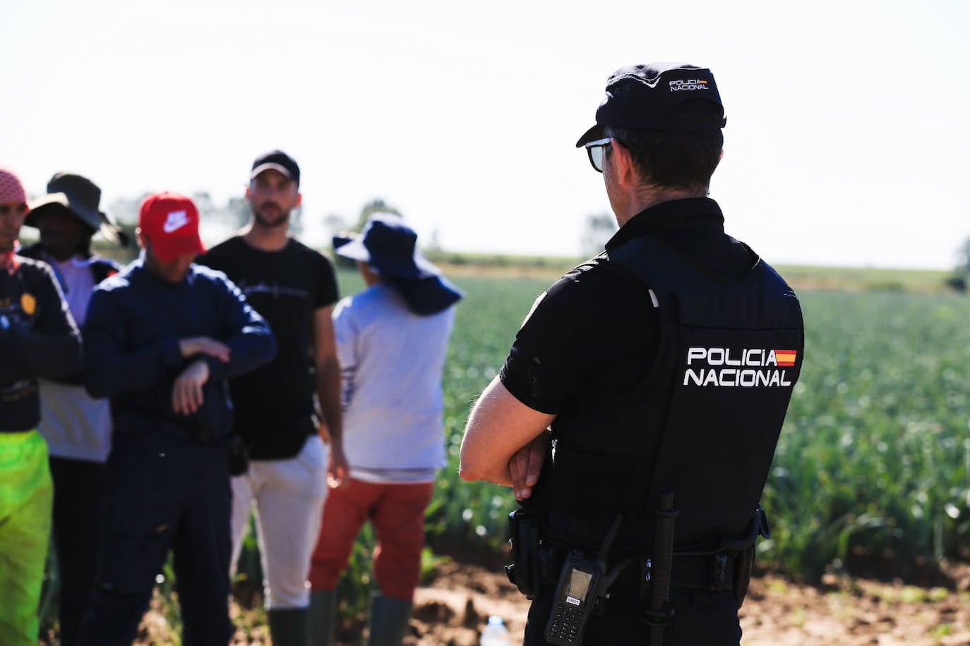 Los agentes inspeccionan una explotación agrícola en Villamanrique de la Condesa