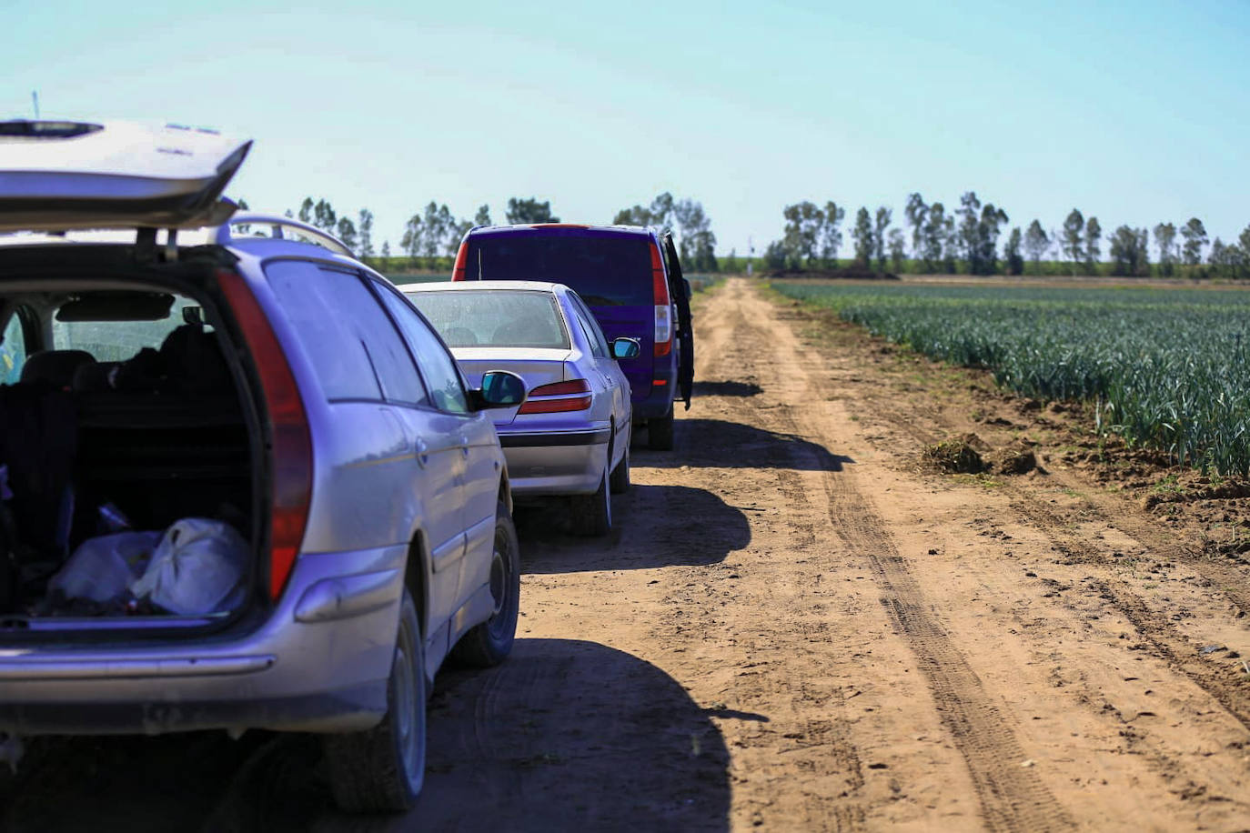 Los agentes inspeccionan una explotación agrícola en Villamanrique de la Condesa