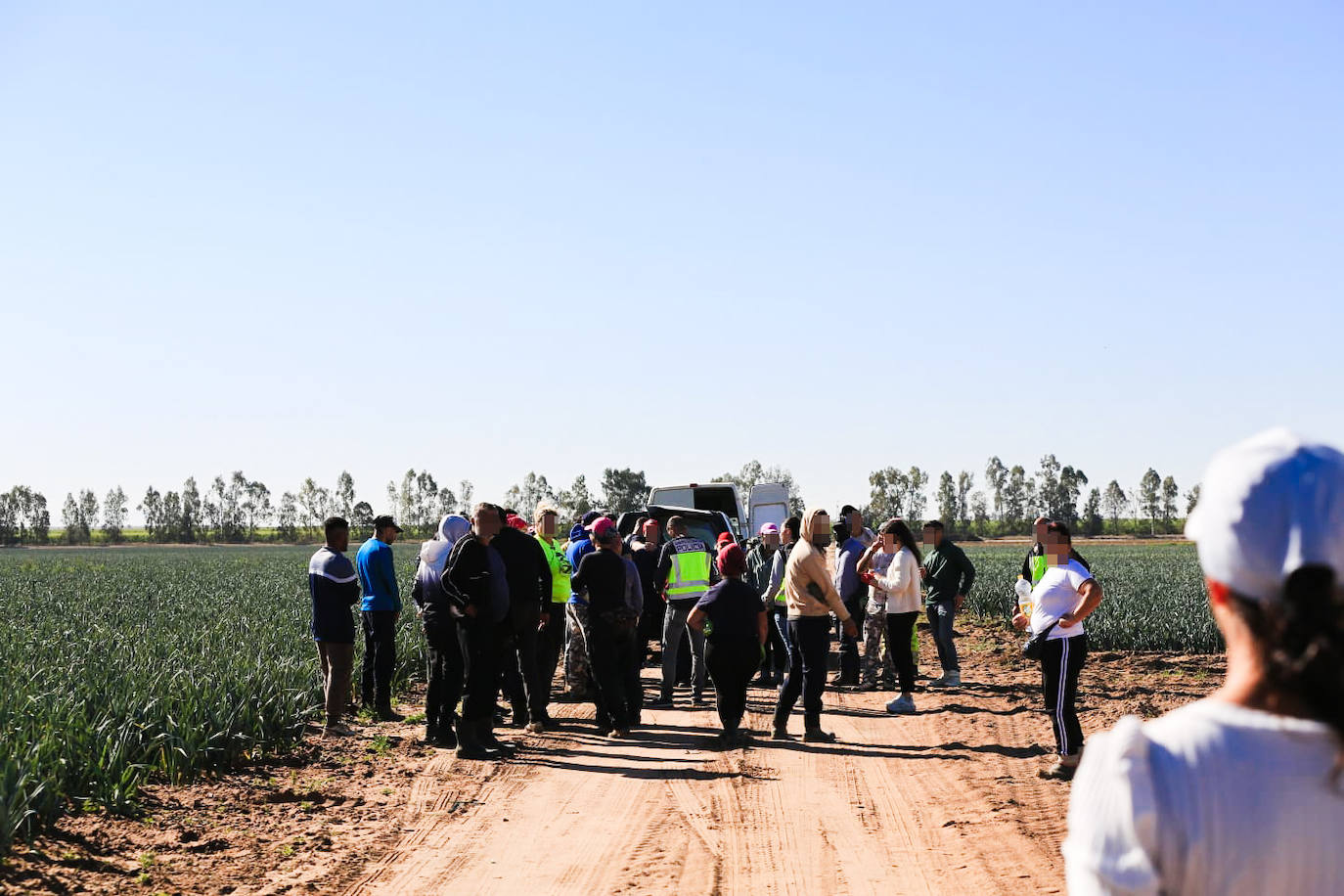 Los agentes inspeccionan una explotación agrícola en Villamanrique de la Condesa