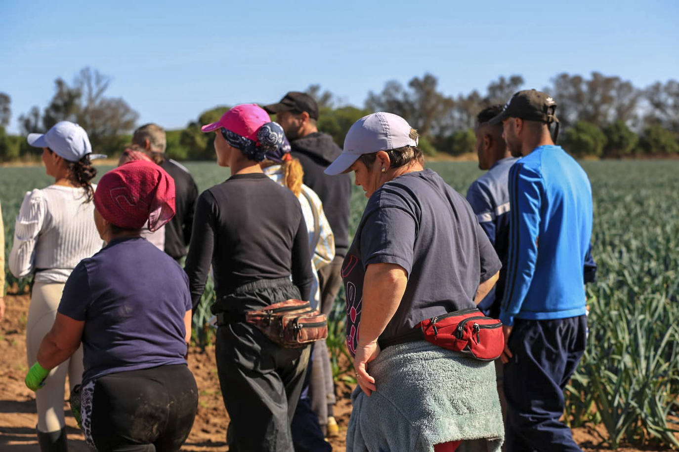 Los agentes inspeccionan una explotación agrícola en Villamanrique de la Condesa