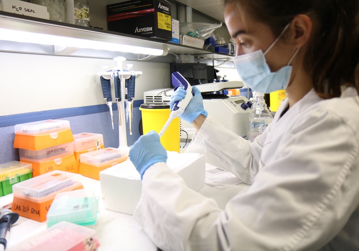 Investigadores analizando muestras de Covid en el Instituto de Biomedicina de Sevilla