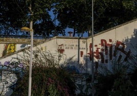 En imágenes, abandono de la orilla verde del Guadalquivir